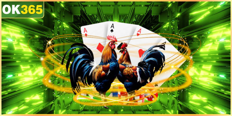 Đá Gà Thomo OK365 - Sân Chơi Hấp Dẫn Hàng Đầu Năm 2026 1 số quy tắc cần nắm trước khi cược