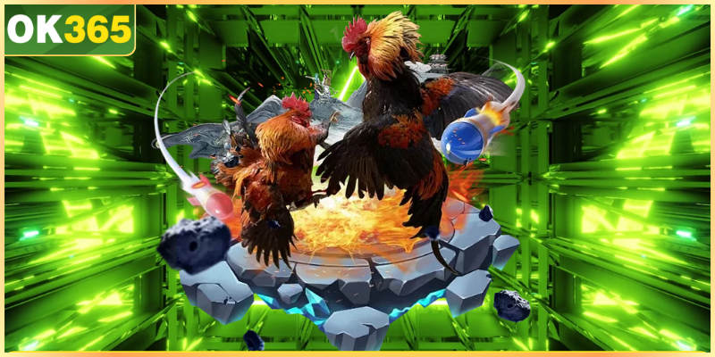 Đá Gà Cựa Sắt OK365 | Chia Sẻ Mẹo Chọn Kèo Hiệu Quả Đá gà cựa sắt kịch tính trong từng lần đá